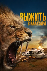 Bыжuτь в kaлaxapu